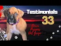 How to find a Boxer Puppy with AKC Marketplace - Testimonial Number 33