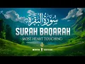Download Lagu Surah Al-Baqarah سورة البقرة FULL | ULTIMATE RELAXING RECITATION | Emotional Voice | WQ