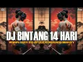 Lagu DJ BINTANG 14 HARI - WALAU HANYA SEKEJAP DI HATI MENGAPA || SOUND VIRAL TIKTOK ALVISENA RMX