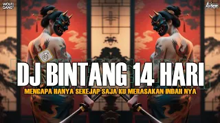 dj bintang 14 hari walau hanya sekejap di hati mengapa sound viral tiktok alvisena rmx