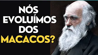 TEORIA DE DARWIN NA VISÃO ESPÍRITA I Canal Espírita Responde #41