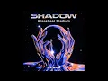 Lagu Shadow - Breakbeat Stadium (DJ SAM REMIX)