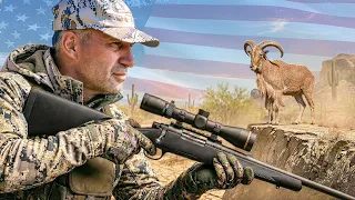Трофейная охота в Техасе 2 🇺🇸 Армянский муфлон и Аудад #охота