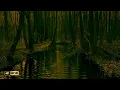 Download Lagu 4K, Sanfter leichter Regen im Wald zum schnellen Einschlafen und Entspannen [ASMR]