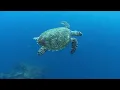 Musique Relaxante - Vidéo HD - Paysages, Nature... Relaxation
