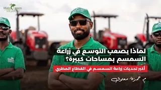 لماذا يصعب التوسع في زراعة السمسم بمساحات كبيرة؟ | أكبر تحديات القطاع المطري