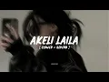 AKELI LAILA || BAAGHI 4 || [ Slowed + Reverb ] ||