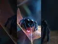 Lagu 🕷️Spider Queen Evolution👑 | Age 1 to 1000 🌿 #spiderqueen #fantasy #aiart #shorts