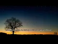 Tareq Mohammad Surah As Sajdah Amazing❤️Recitaion  سورة السجدة