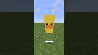Duck Banner Design In Minecraft