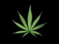 GIF - marihuana