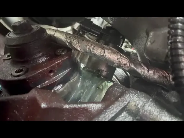 View Video