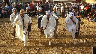 Danse alaoui et reggada 319 رقص الركادة والعلاوي @kadanzatv @Chants-et-danses-traditionnels