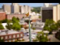 Augusta Forward TV Don t Miss Augusta on Display