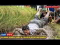Download Lagu HEBOH ANAK DURHAKA‼️Ibunya Dibuang ke Gubuk Tua, Hingga Dirinya tertimpa Azab Mengerikan