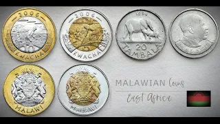 malawian tambala u0026 kwacha coins malawi east africa