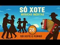 Xote, Baião, Forró, Xaxado - Músicas  Inéditas - Vol.28