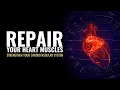 Lagu Repair Your Heart Muscles Regulate Blood Flow | Strengthen Your Cardiovascular System | Heal Heart