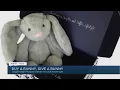 Xander Bunny Project