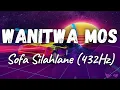 Wanitwa Mos, Master KG & Lowsheen - Sofa Silahlane ft. Nkosazana Daughter (432Hz)