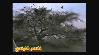 عبيد الطيب ياروحي سلام عليك 