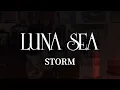 【LUNA SEA】STORM【RE:】/SUGIZOパート【弾いてみた】