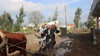 الفديو الجديد على قناة بسيونى شو٢ الساعة ١ظهرا الفلحين اخترعو عربية حديثة دندنها