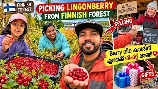 കാട്ടിലെ lingonberry വിറ്റ് ഏവക്ക് വാങ്ങിയ gift |lingonberry #mallusinfinland #familyvlog #malayalam