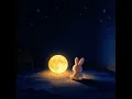 Long Night - 유리 킴