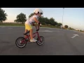 wethepeople prime 12 bmx