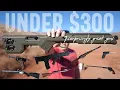 7 Surprisingly Great Guns Under 300