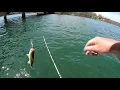 Lake Keowee Fishing Report March 2020