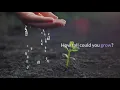 "Music and the Magic Beans" - Moodscope Mindset Blog and Vlog and Podcast to lift your spirit!