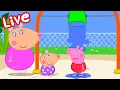 Download Lagu 🔴 LIVE Peppa Pig Surprise Full Episodes 2024 | 24/7 Livestream