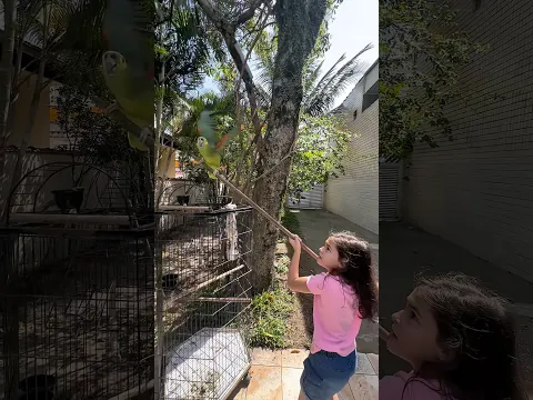 ELE SAIU VOANDO 😱