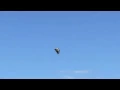 I must go My people need me