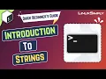 Strings in Bash Scripting LinuxSimply