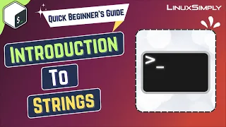 Strings in Bash Scripting LinuxSimply
