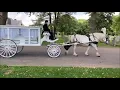 Horse Drawn Funeral from Hughes Funeral Home to Ewing Cemetery June 19 2020