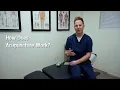How Does Acupuncture Work By Dr Charles - Toronto Chiropractor