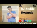 Download Lagu DJ Andile  Umshudo new official audio