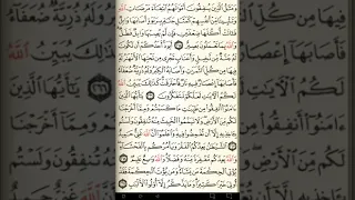 ماهر المعيقلي سورة البقرة مكتوبة صفحة 45 مصحف المدينة المنورة جودة عالية 