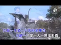 [ KTV ] 只愿一生爱一人 Chỉ Nguyện Một Đời Yêu Một Người - 张学友  Trương Học Hữu Karaoke