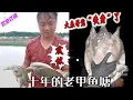 Download Lagu 十年的老甲鱼塘，大表哥能不能翻车？#viralvideo #户外 #抓鱼