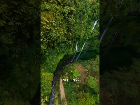 The Amazon Doesn’t Make Our Oxygen… The Ocean Does 😳