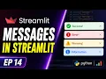 How to create Success Error Warning Info Messages in Streamlit Streamlit Tutorial