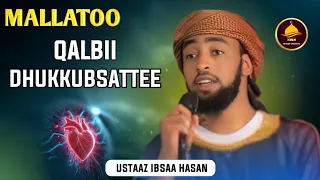 Dawaa Afaan Oromoo Mallatoo Qalbii Dhukkubsattee Ustaaz Ibsaa Hasan Dawaa Ibsaa Oromo Ummah 