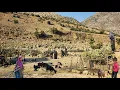 Download Lagu Nomadisch leven: het harde leven van nomadische meisjes ⛰ | Nomadisch dagelijks werk door Khersan Ri