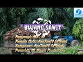 Download Lagu BUJANG SAWIT [ OFFICIAL HQ ] SB Music Production @KaraokeibanChannel 