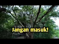 RUMAH HANTU BANGKOK, 25 TAHUN KOSONG!